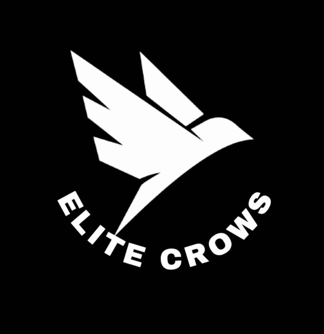 EliteCrows Infotech Logo
